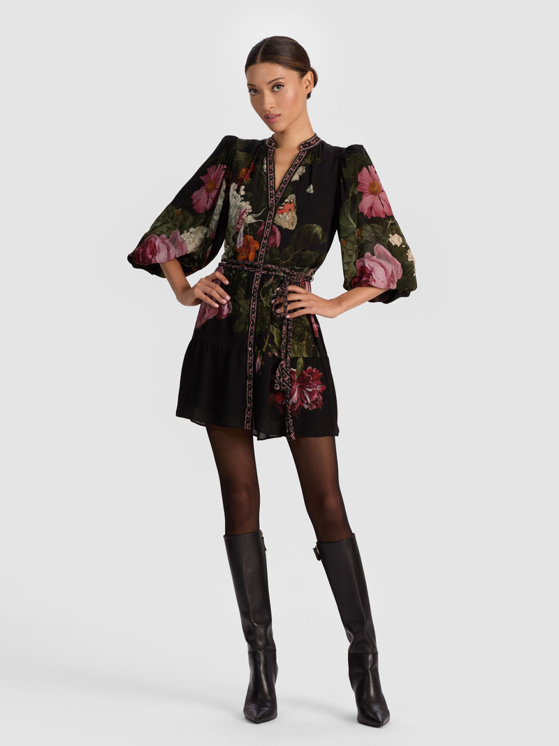 ANTONETTE MINI DRESS 2