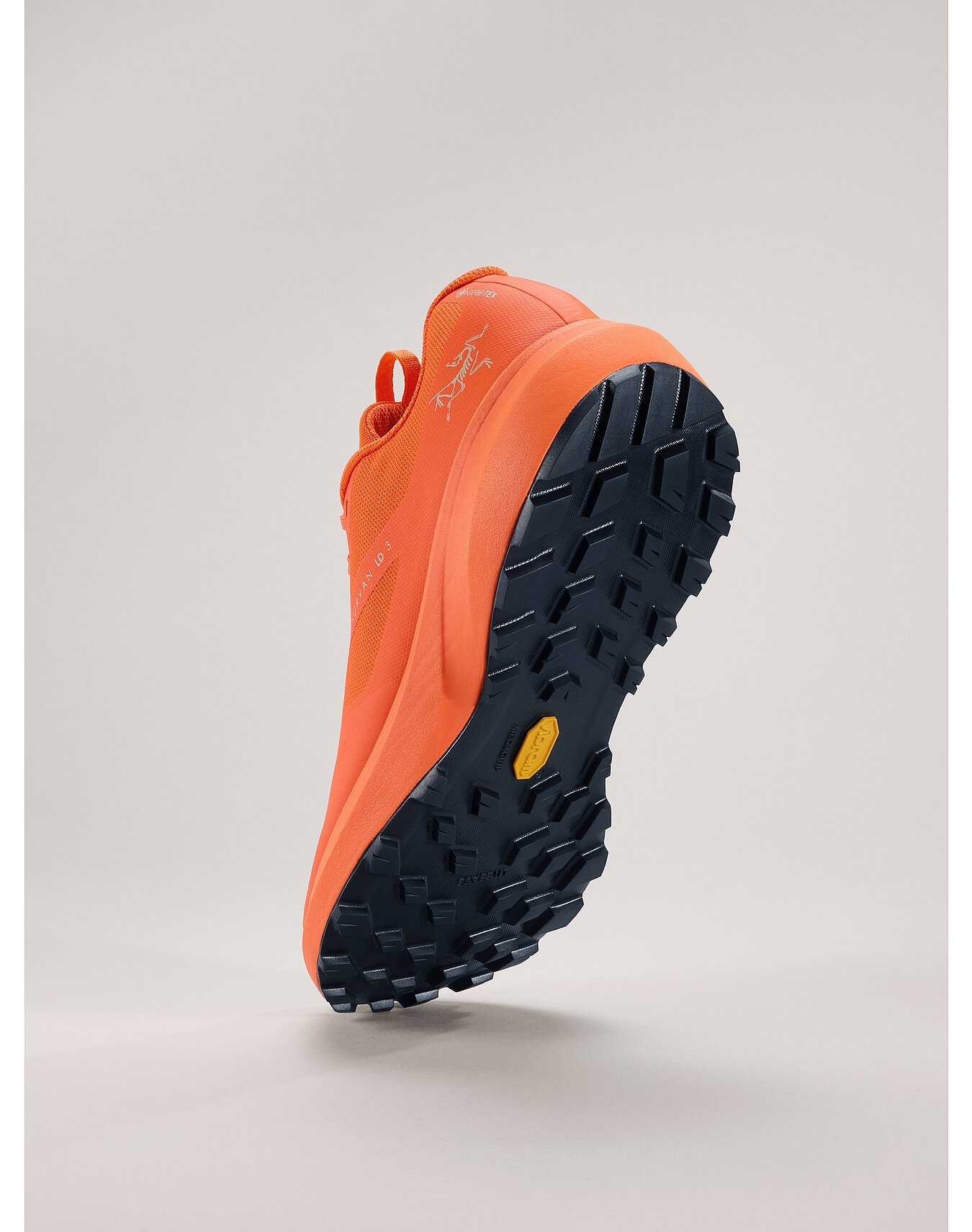 Norvan LD 3 GTX Shoe - 4