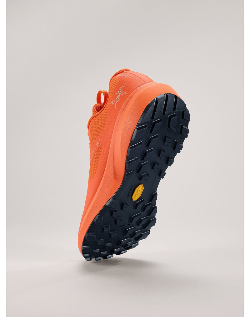 Norvan LD 3 GTX Shoe 4