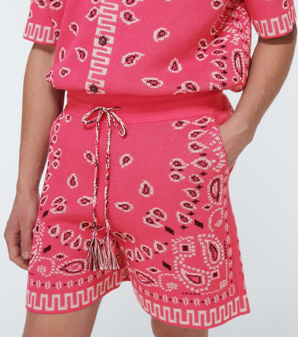 Bandana cotton-blend piqué shorts - 5