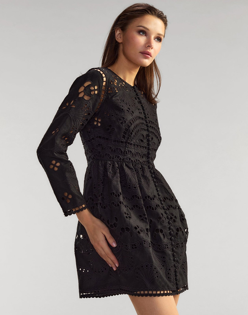 Eva Embroidered Mini Dress 1
