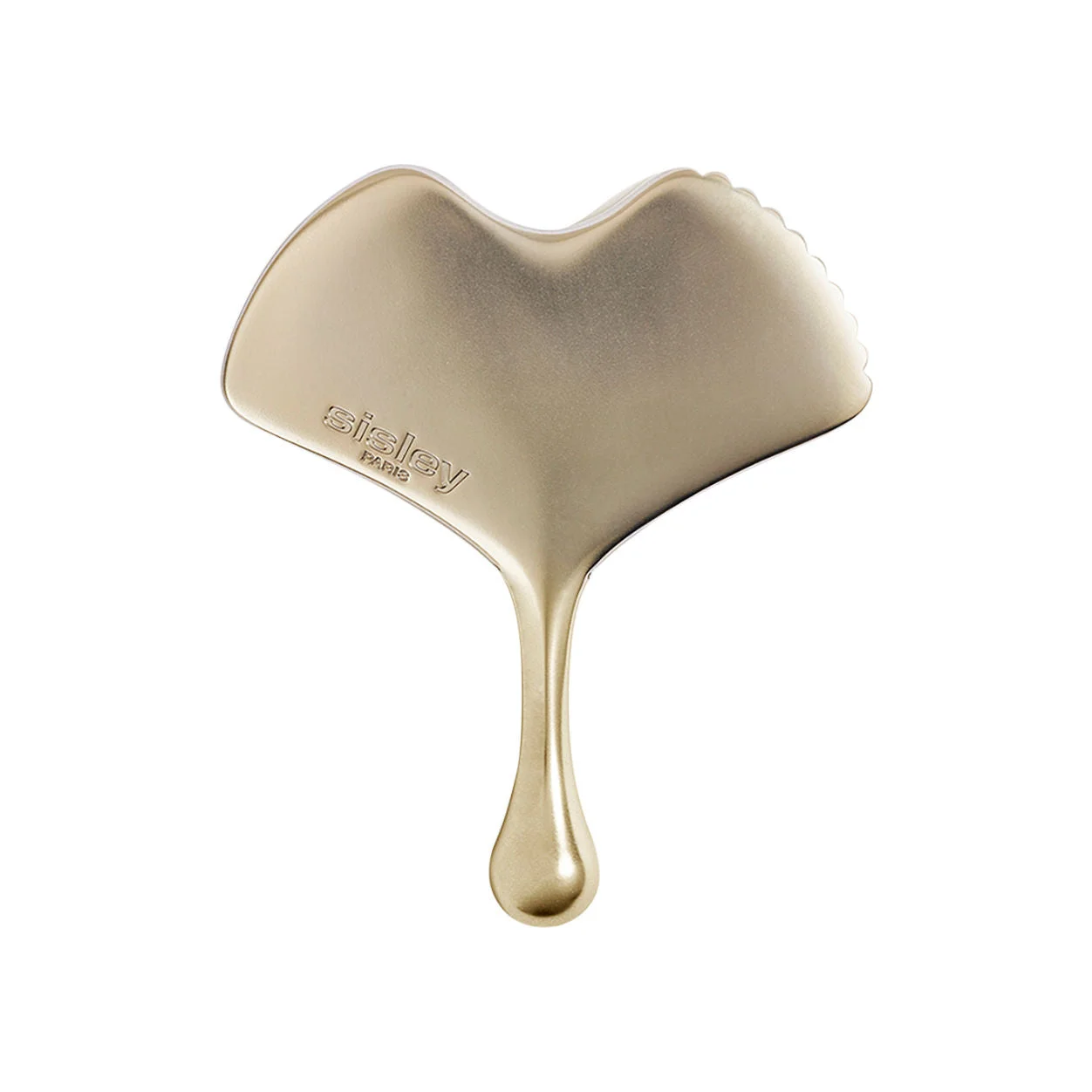Ginkgo Gua Sha Massage Tool - 1