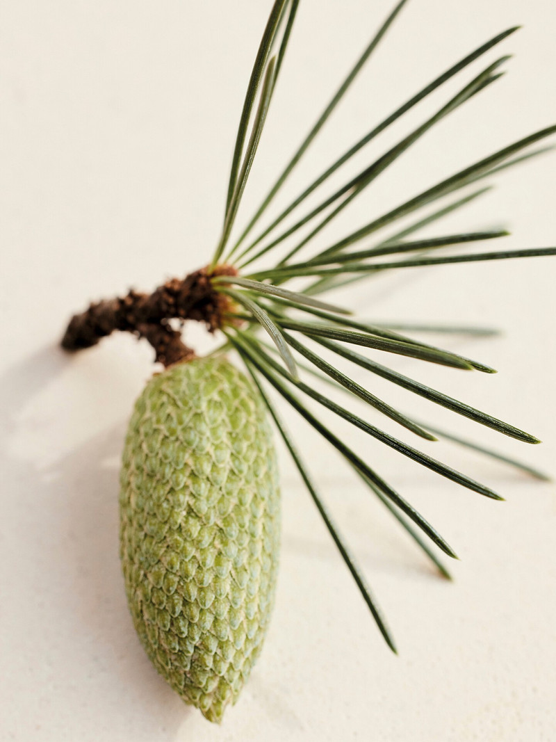 ATELIER DES FLEURS – DISCOVERY GIFT SET 3 PENSPRAYS 4