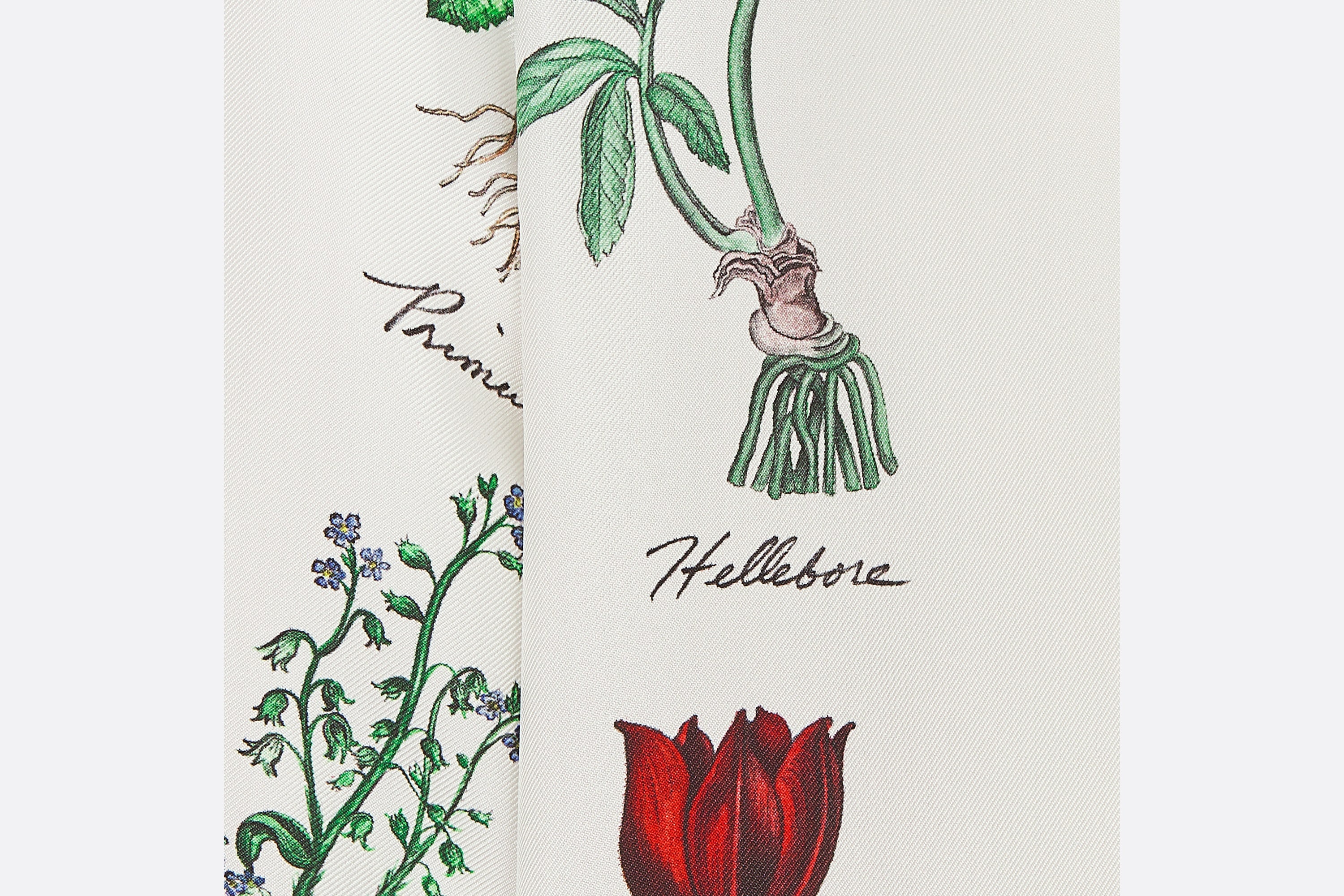 Herbarium Illustration Short-Sleeved Shirt - 7
