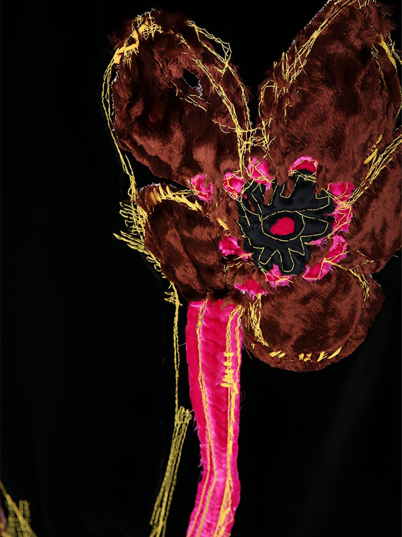 embroidered velvet dress 3
