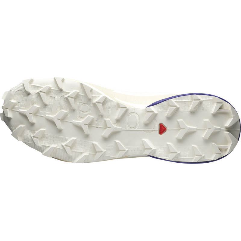 SALOMON SPEEDCROSS ADVANCED outlook