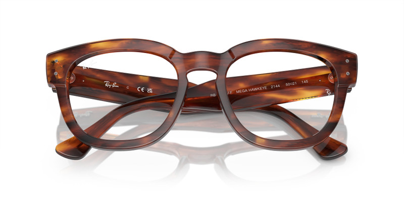 Ray-Ban MEGA HAWKEYE OPTICS outlook