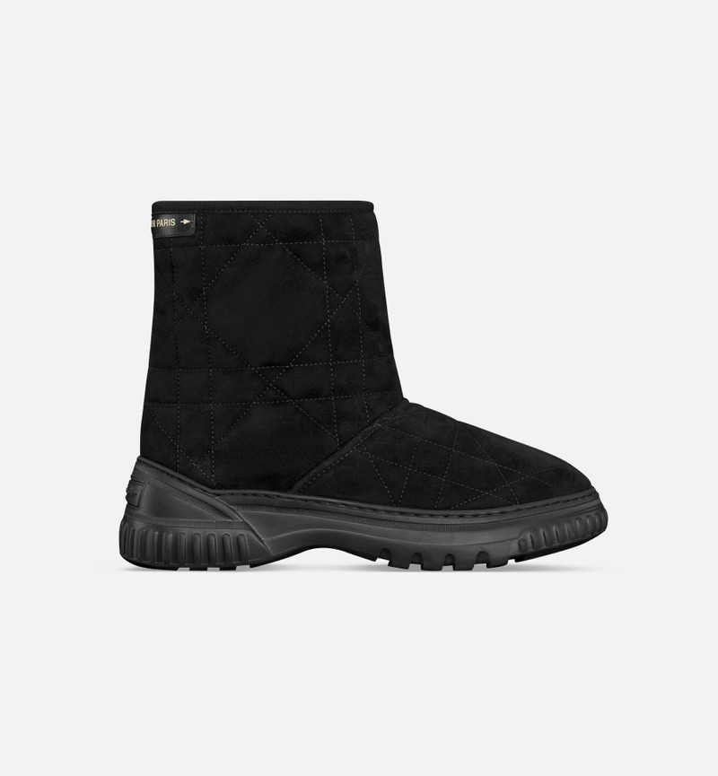 Dior Frost Ankle Boot 2