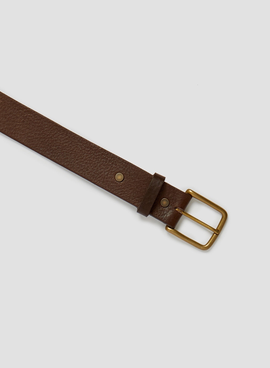 Stud Detail Belt In Brown Leather - 2