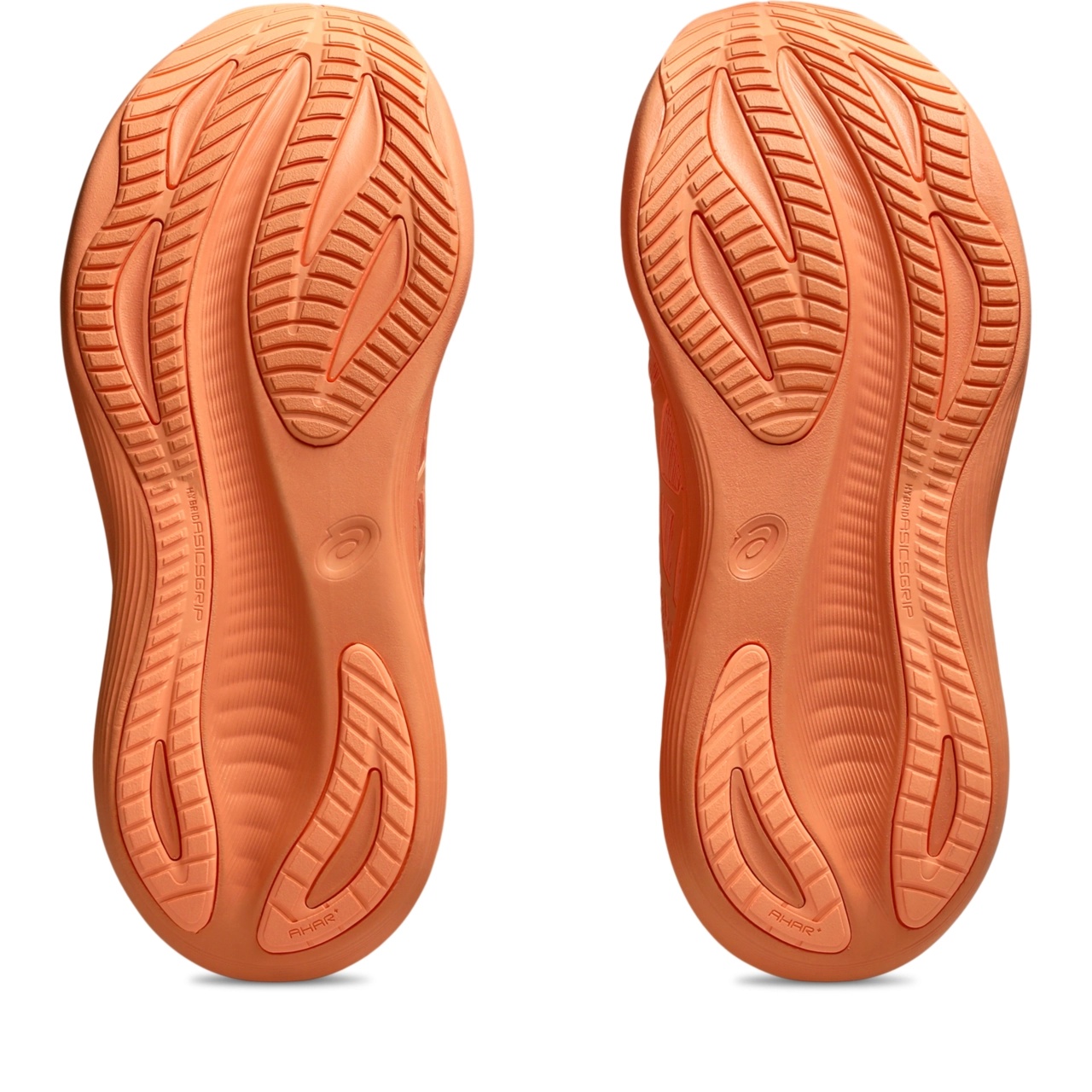 GEL-NIMBUS 27 LITE-SHOW - 7