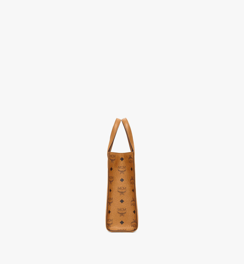 Aren Tote in Visetos 3