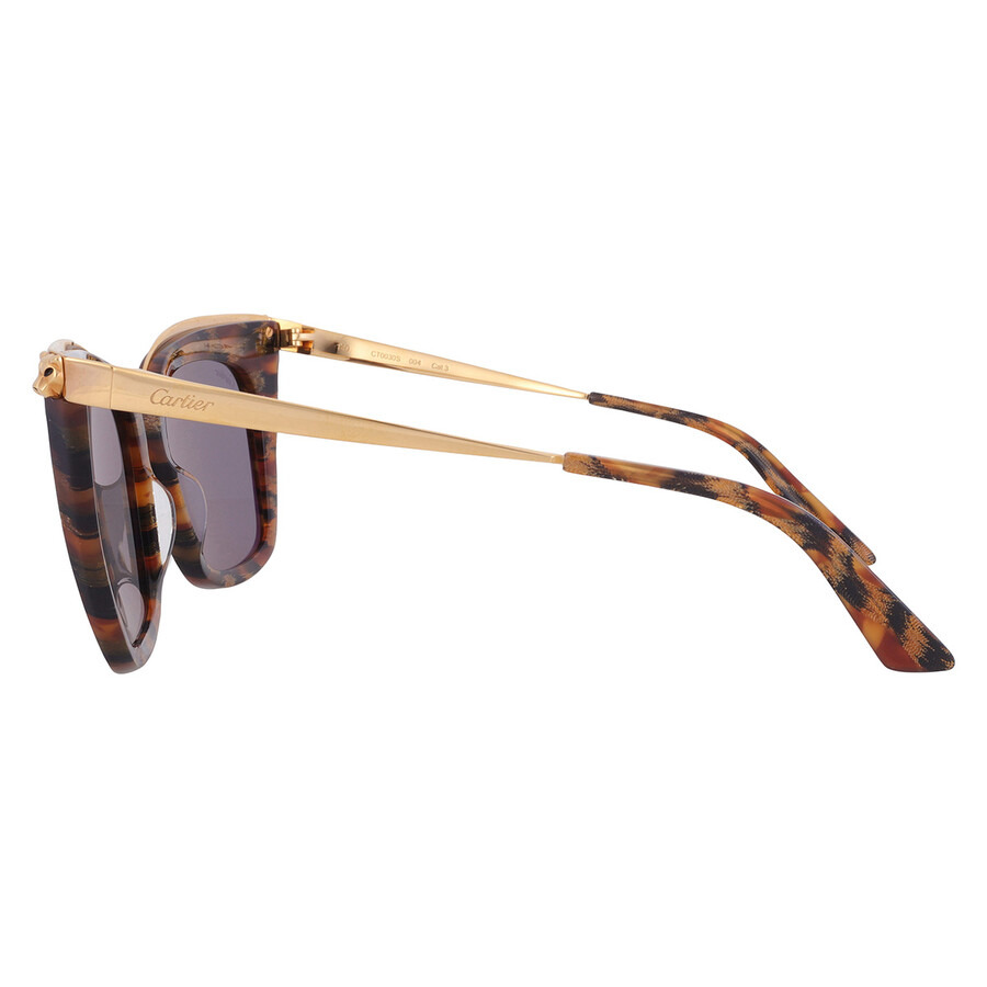 Cartier Silver Cat Eye Ladies Sunglasses CT0030S 004 53 - 4