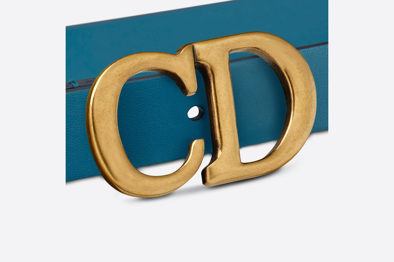 Dior Saddle Belt outlook