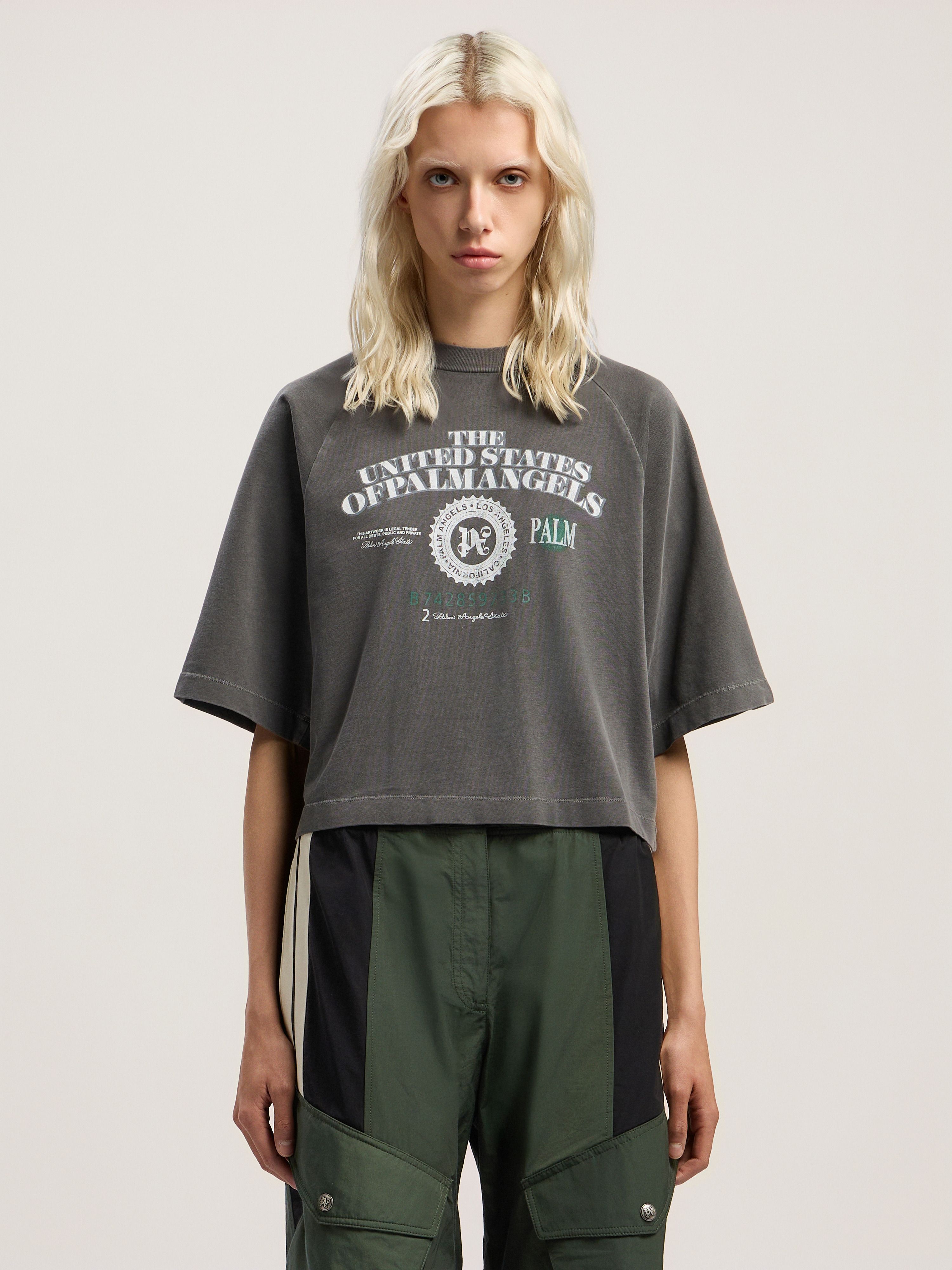 Dollar Cropped Tee - 2