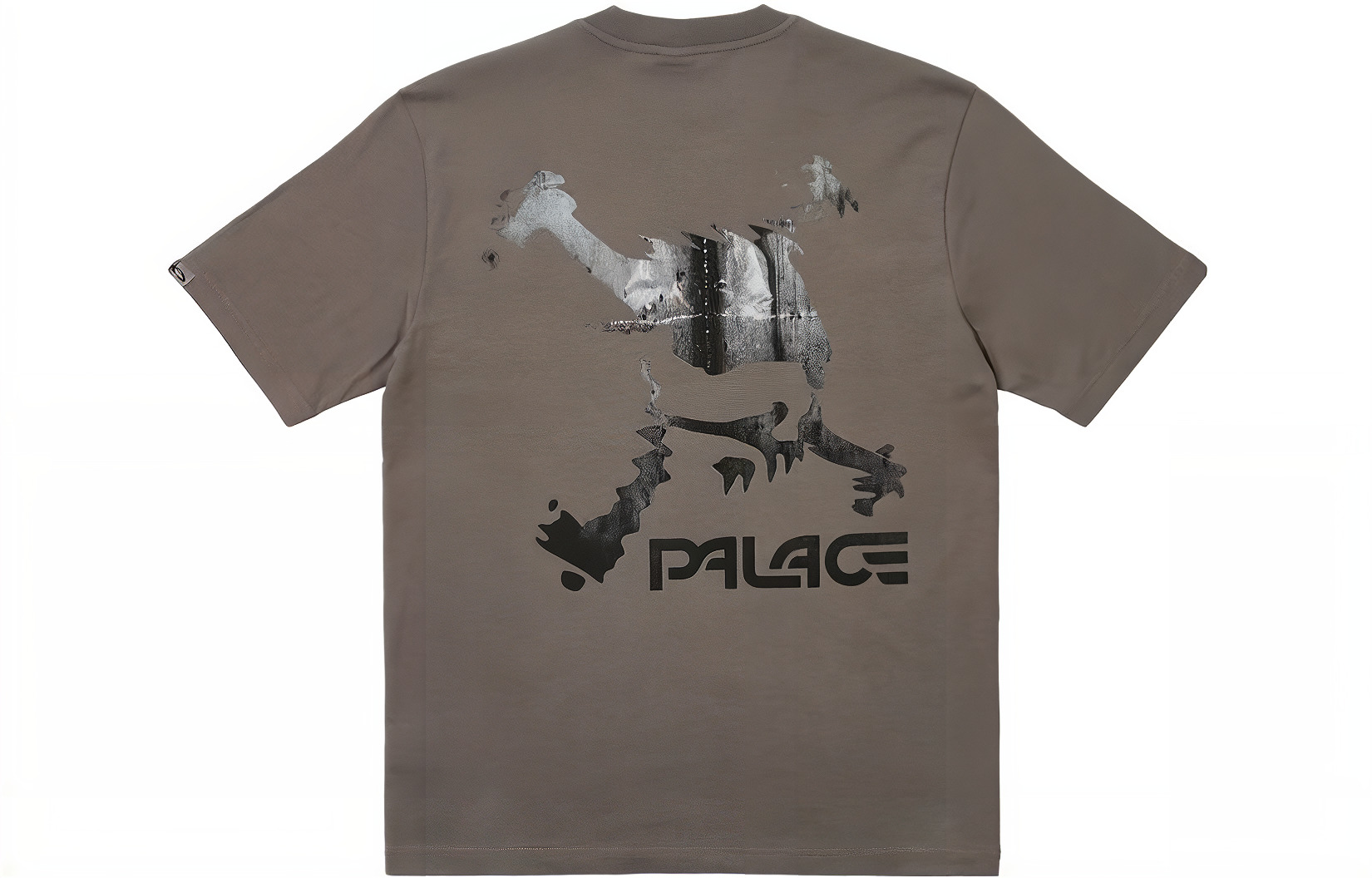 Palace x Oakley T-Shirt 'Grey' P24OKTS003 - 2