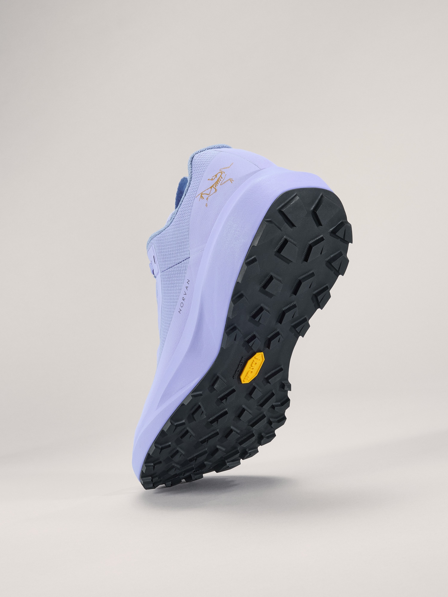 Norvan LD 4 GTX Shoe - 4