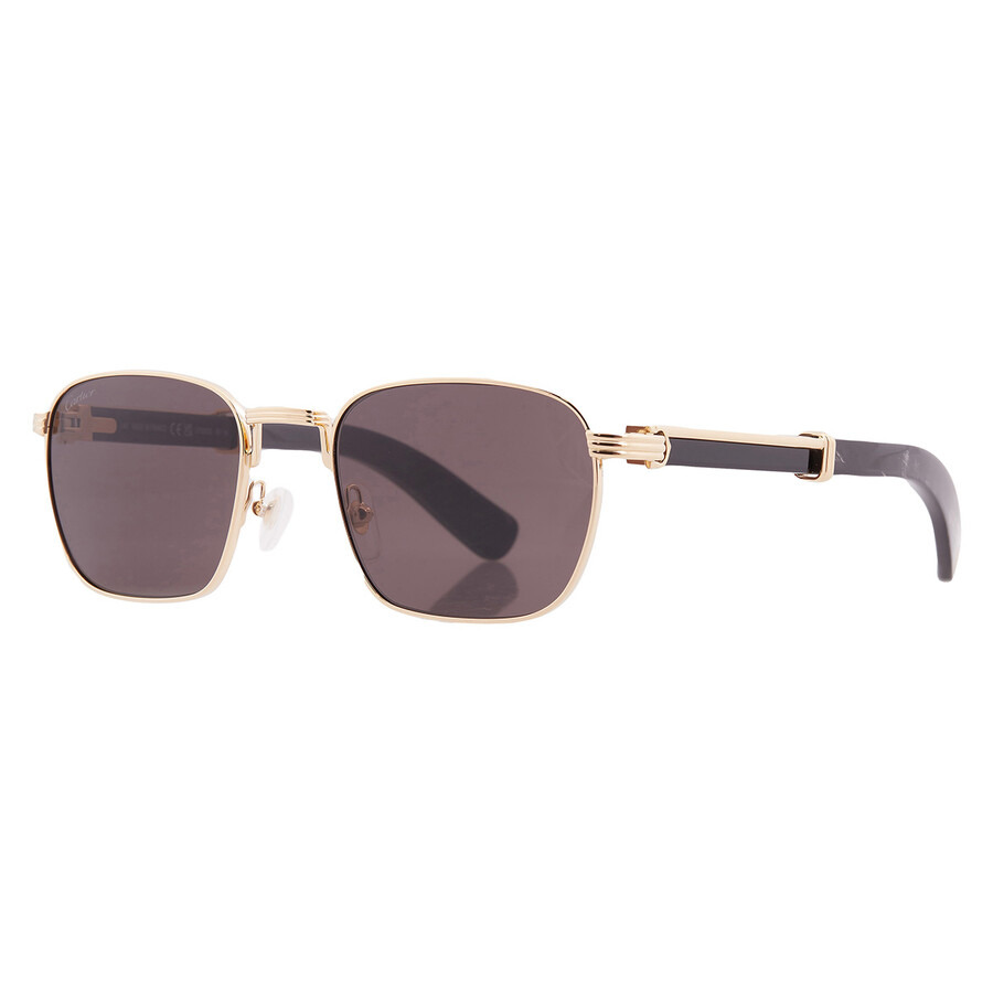 Cartier Premiere de Cartier Grey Rectangular Men's Sunglasses CT0363S 001 54 - 2