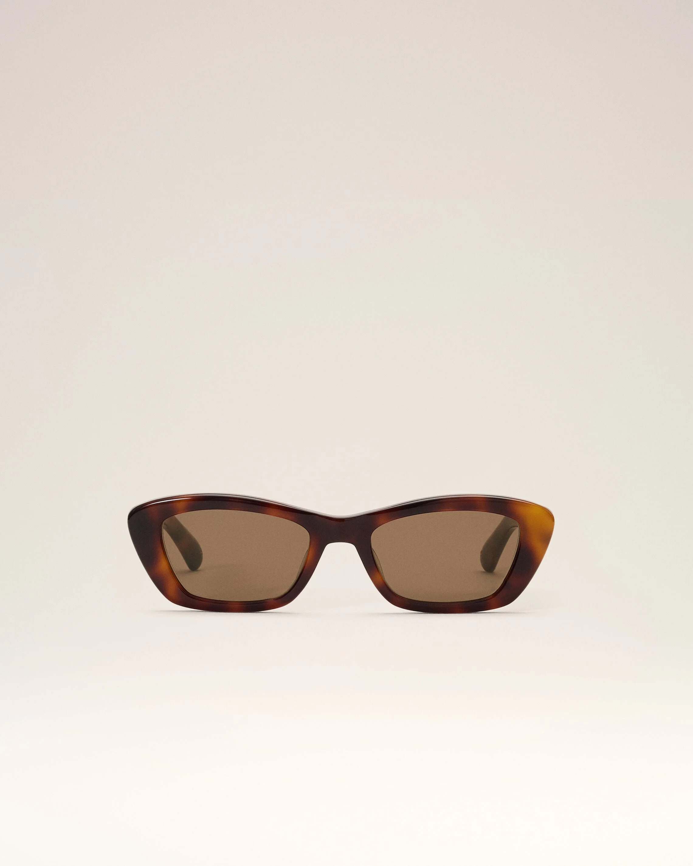 BROWN SUNGLASSES 75020 - 1