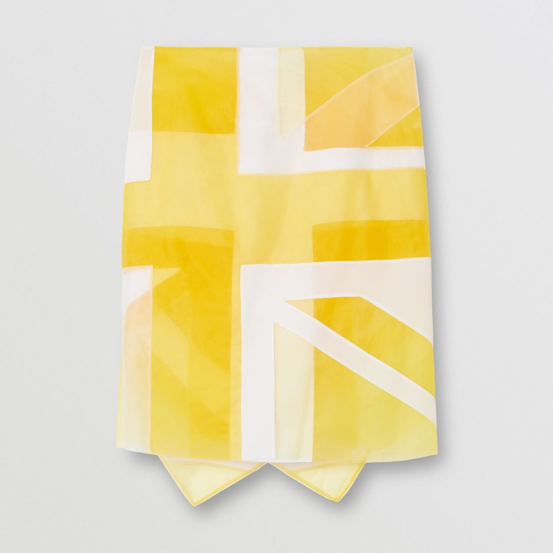 Flag Intarsia Tulle and Silk Skirt 4