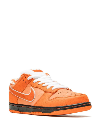 Nike x Concepts SB Dunk Low "Orange Lobster" sneakers outlook