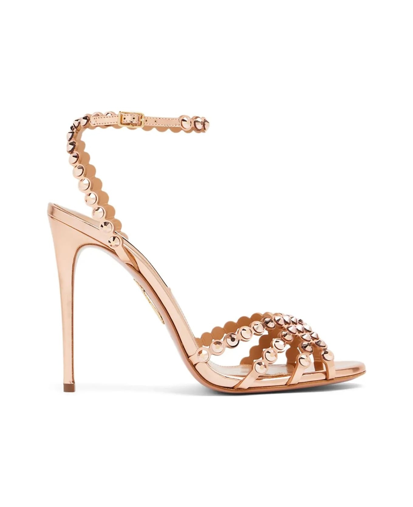 Shies With Heel - 1