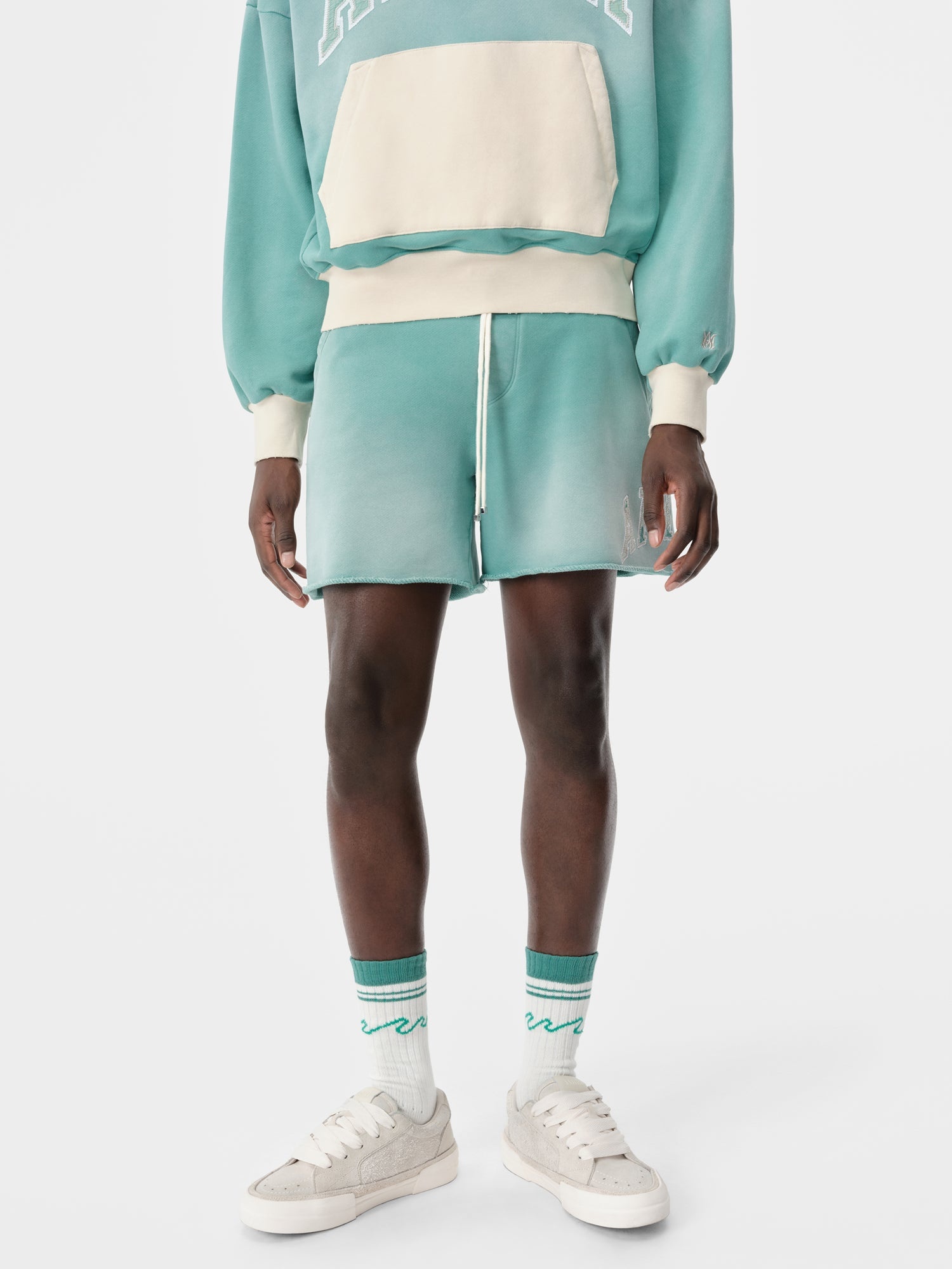 AMIRI VINTAGE COLLEGIATE SHORT - 3