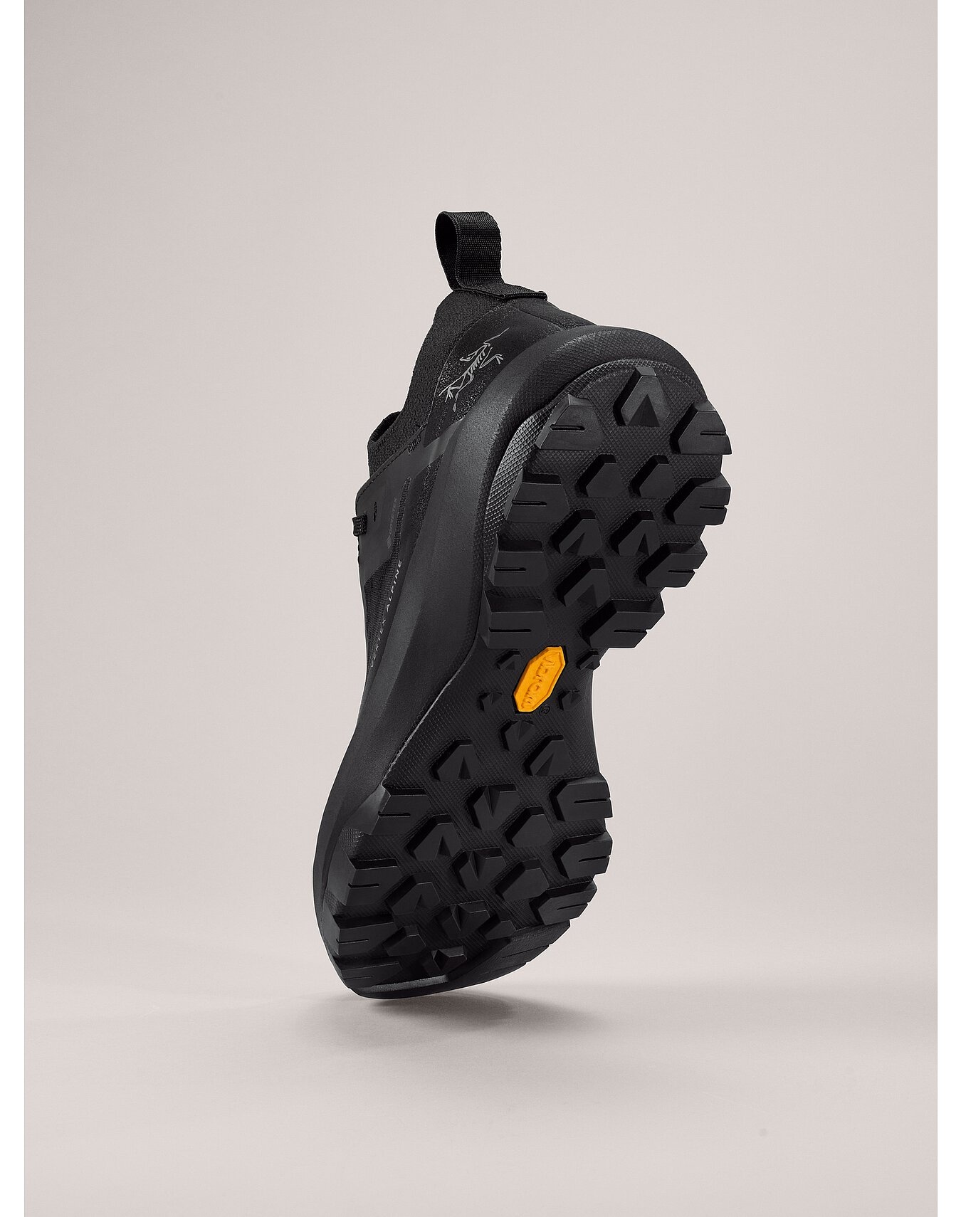 Vertex Alpine GTX Shoe - 4