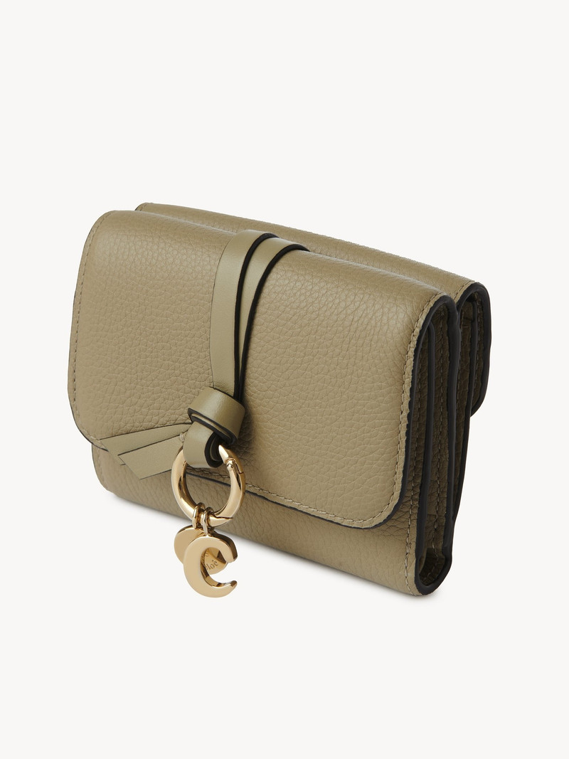 ALPHABET SMALL TRI-FOLD 2