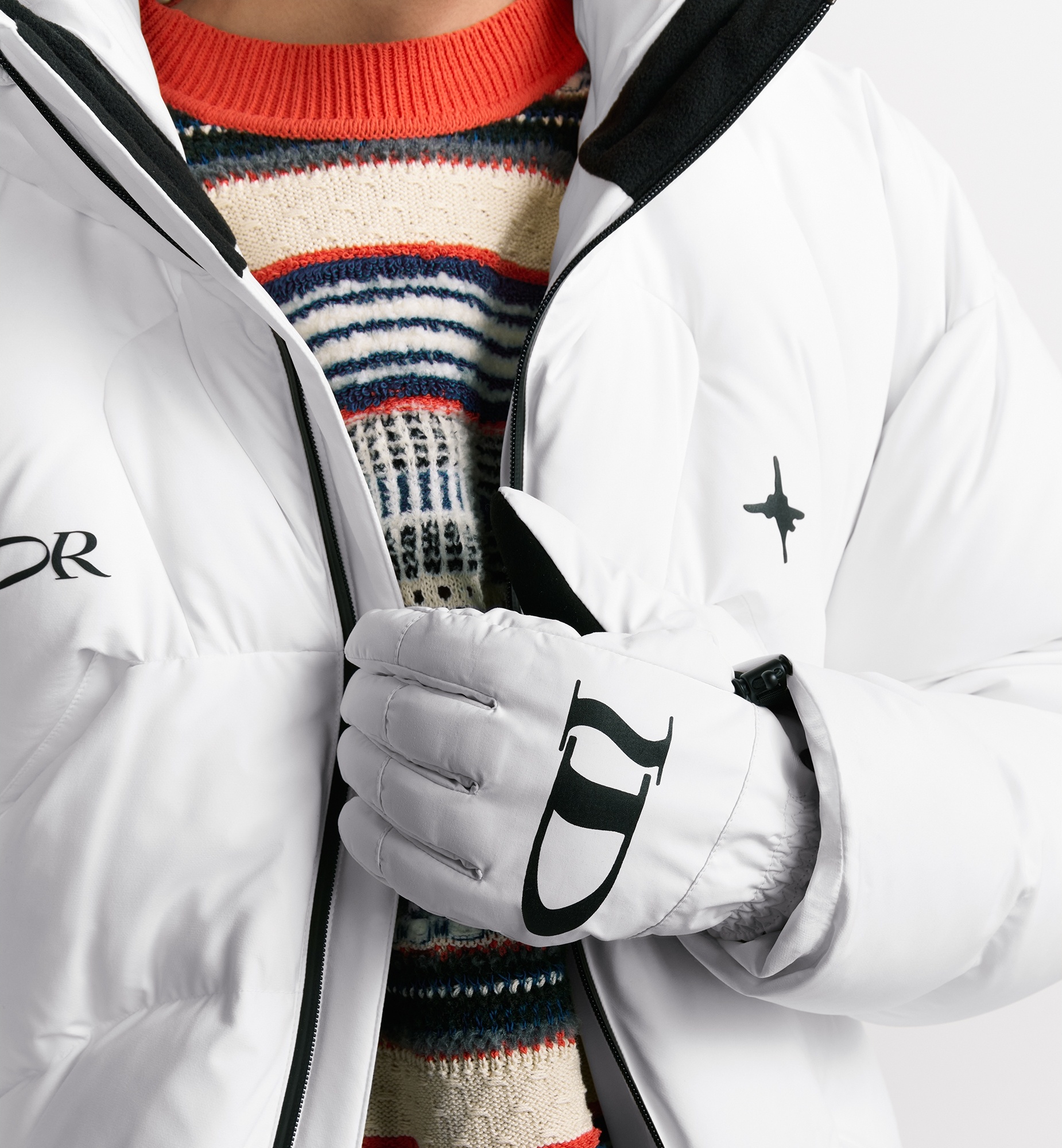 DIOR AND LEWIS HAMILTON Ski Gloves - 2