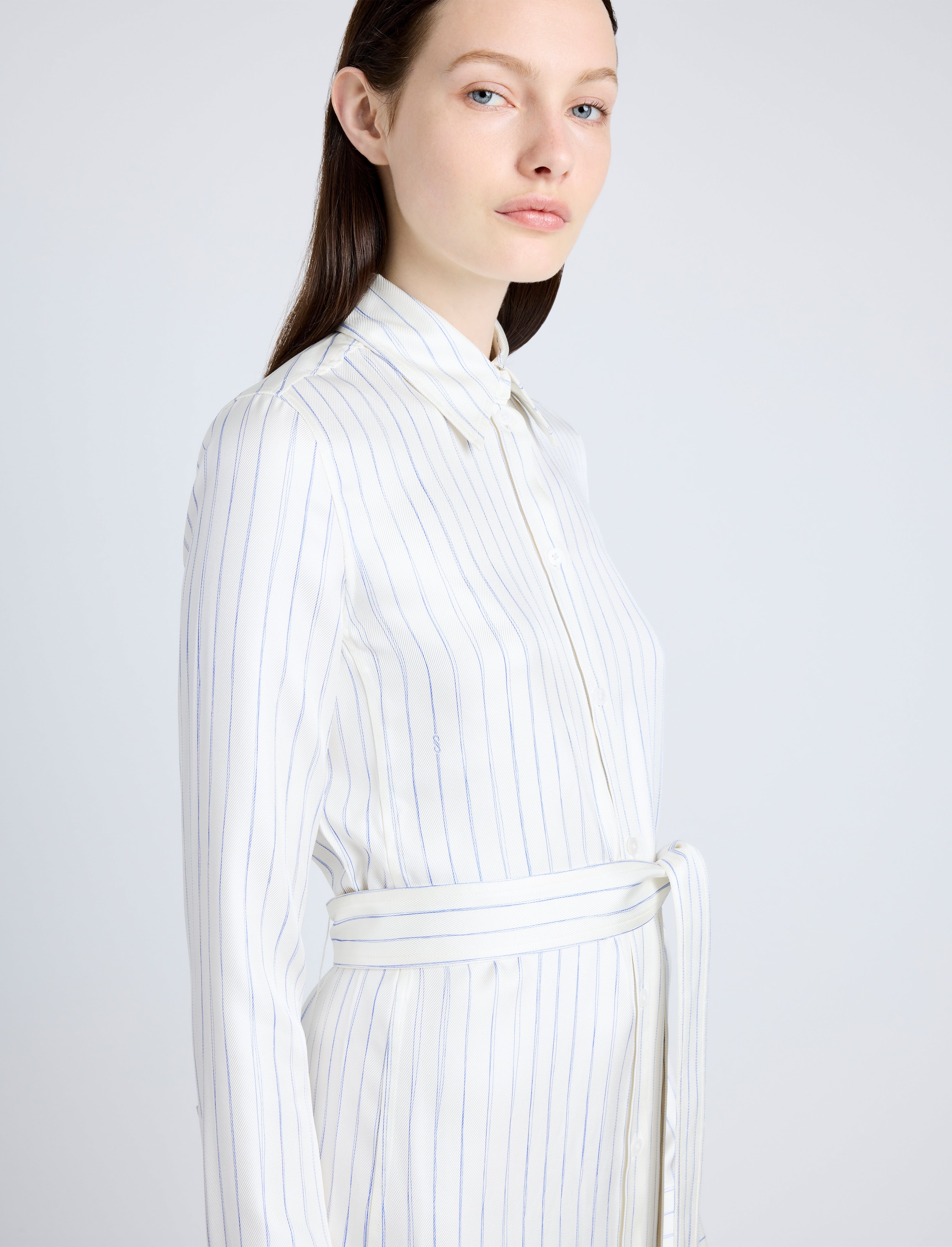 Hannah Dress in Stripe Silk Twill - 5