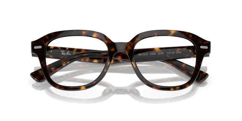 Ray-Ban ERIK OPTICS outlook