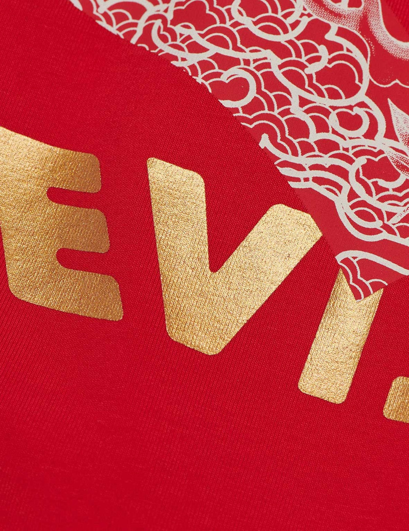 DRAGON AND BROCADE-PATTERN DAICOCK PRINT TRUNKS 5