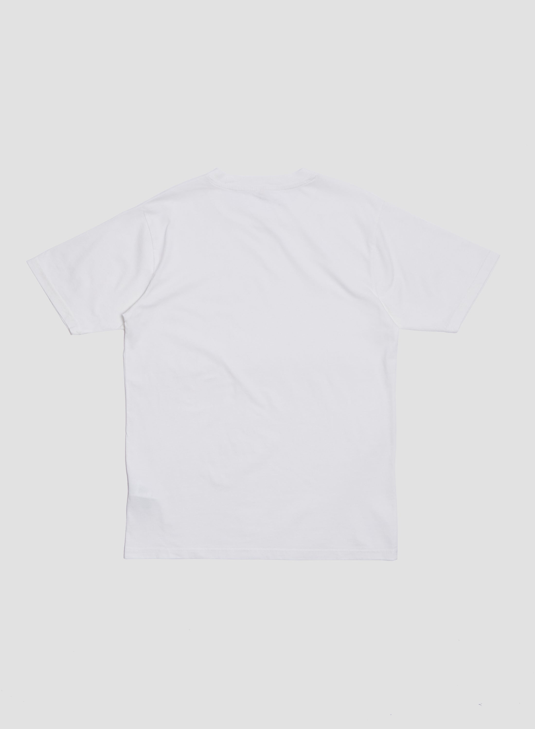 Embroidered Relaxed Fit Tee in White - 3
