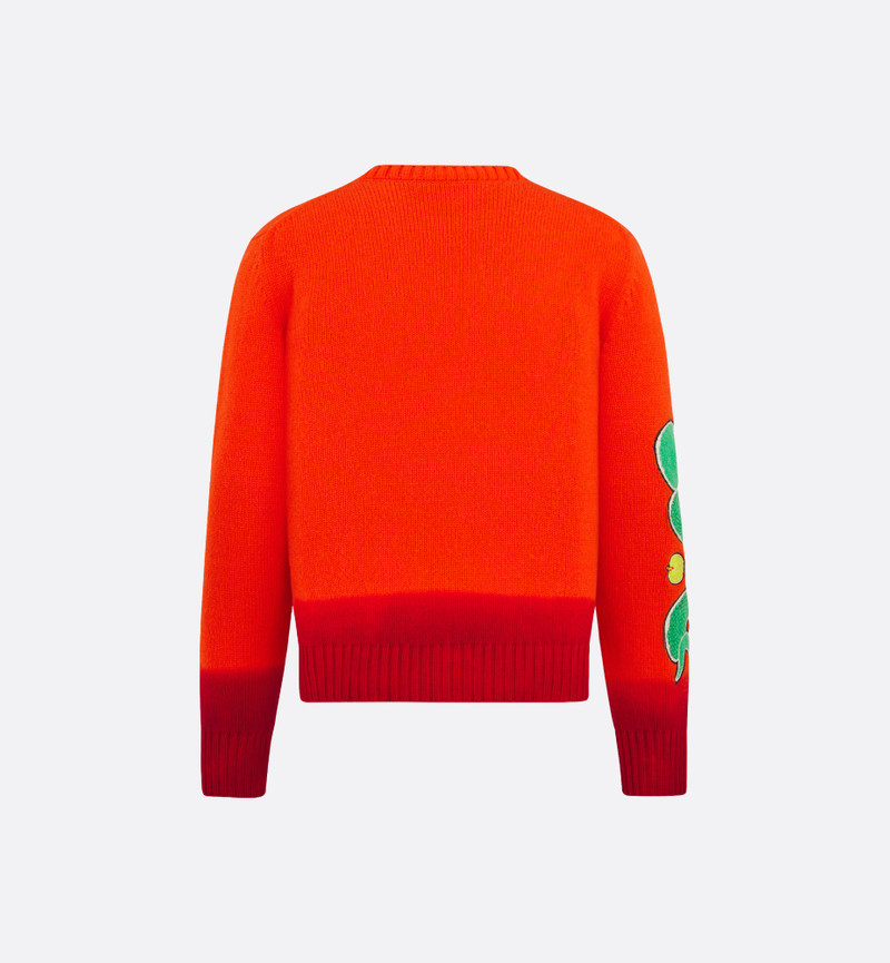 DIOR AND KAWS Sweater 6