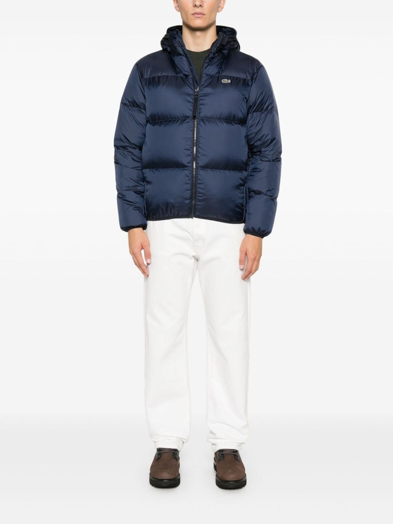 LACOSTE hooded padded jacket outlook