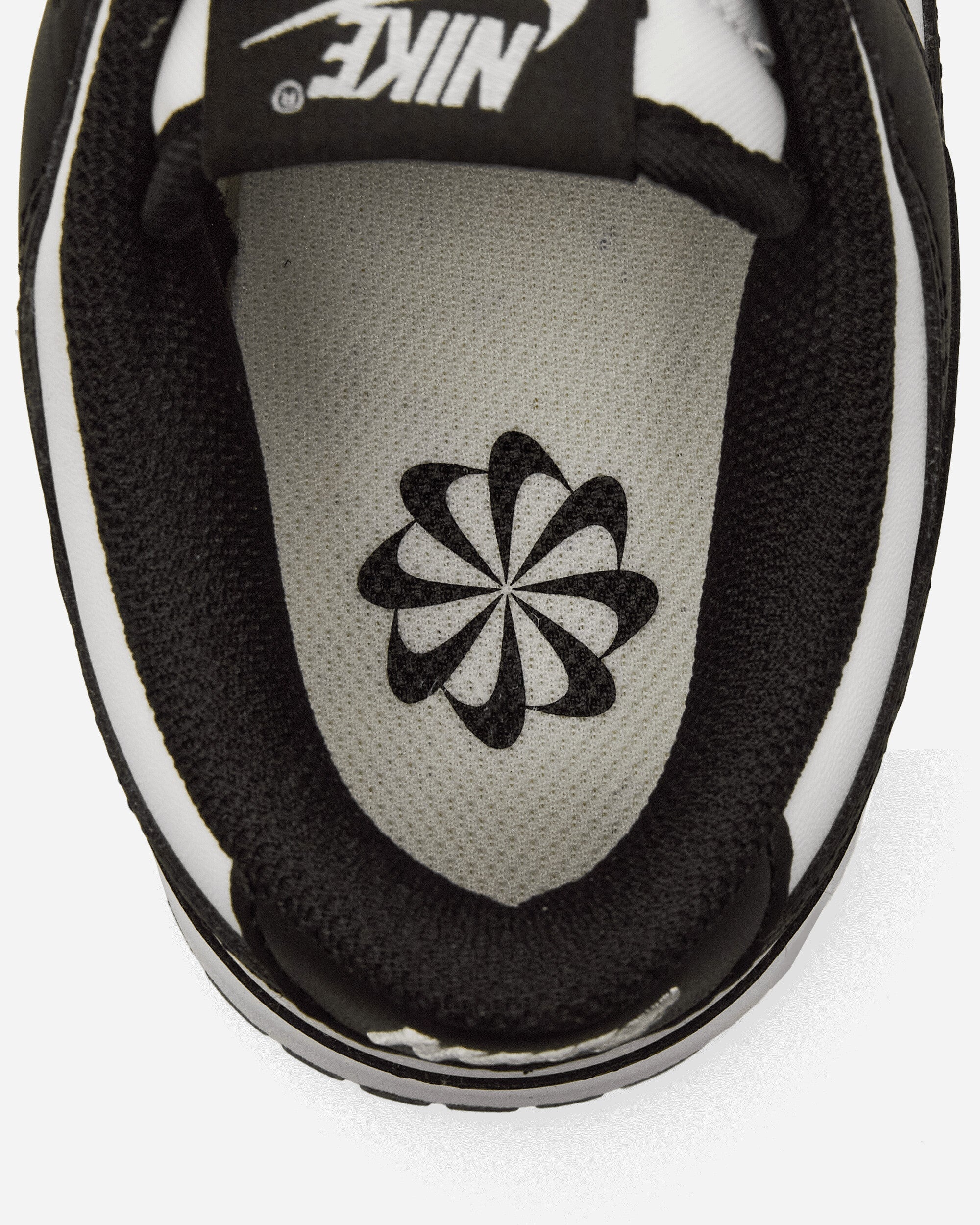 Women's Dunk Low Next Nature Sneakers White / Black - 6