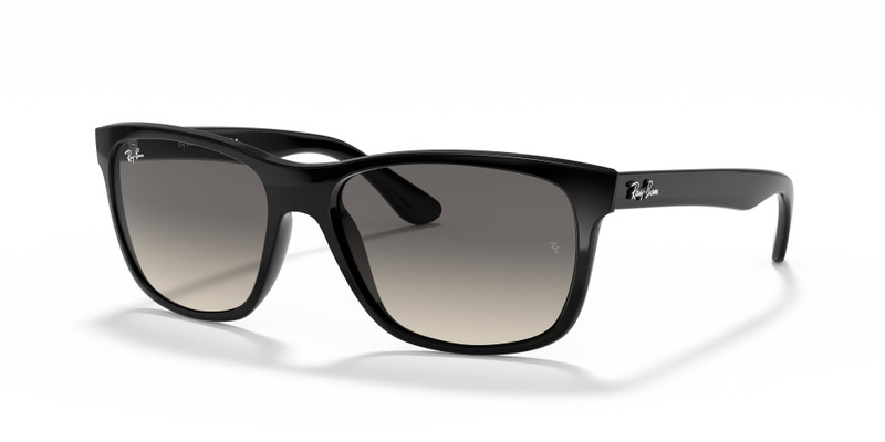 모델 번호: RB4181 1