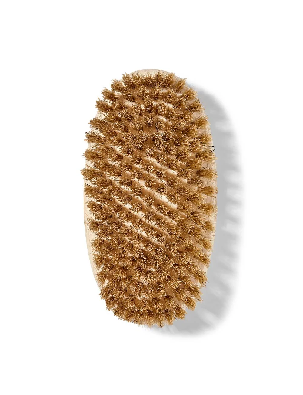 BODY BRUSH - 1