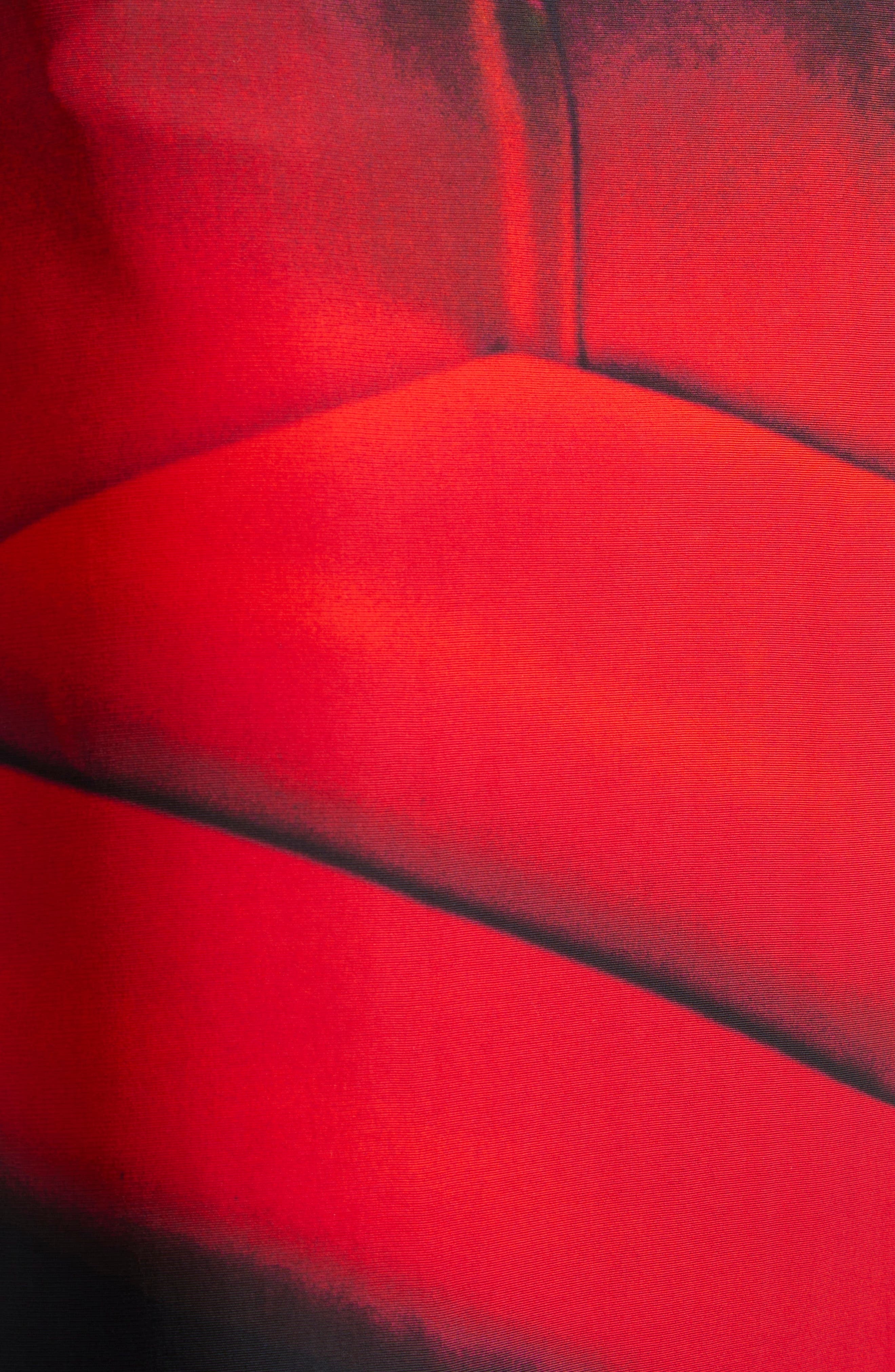 Jil Sander Print Satin Skirt in Ruby Velvet at Nordstrom - 7