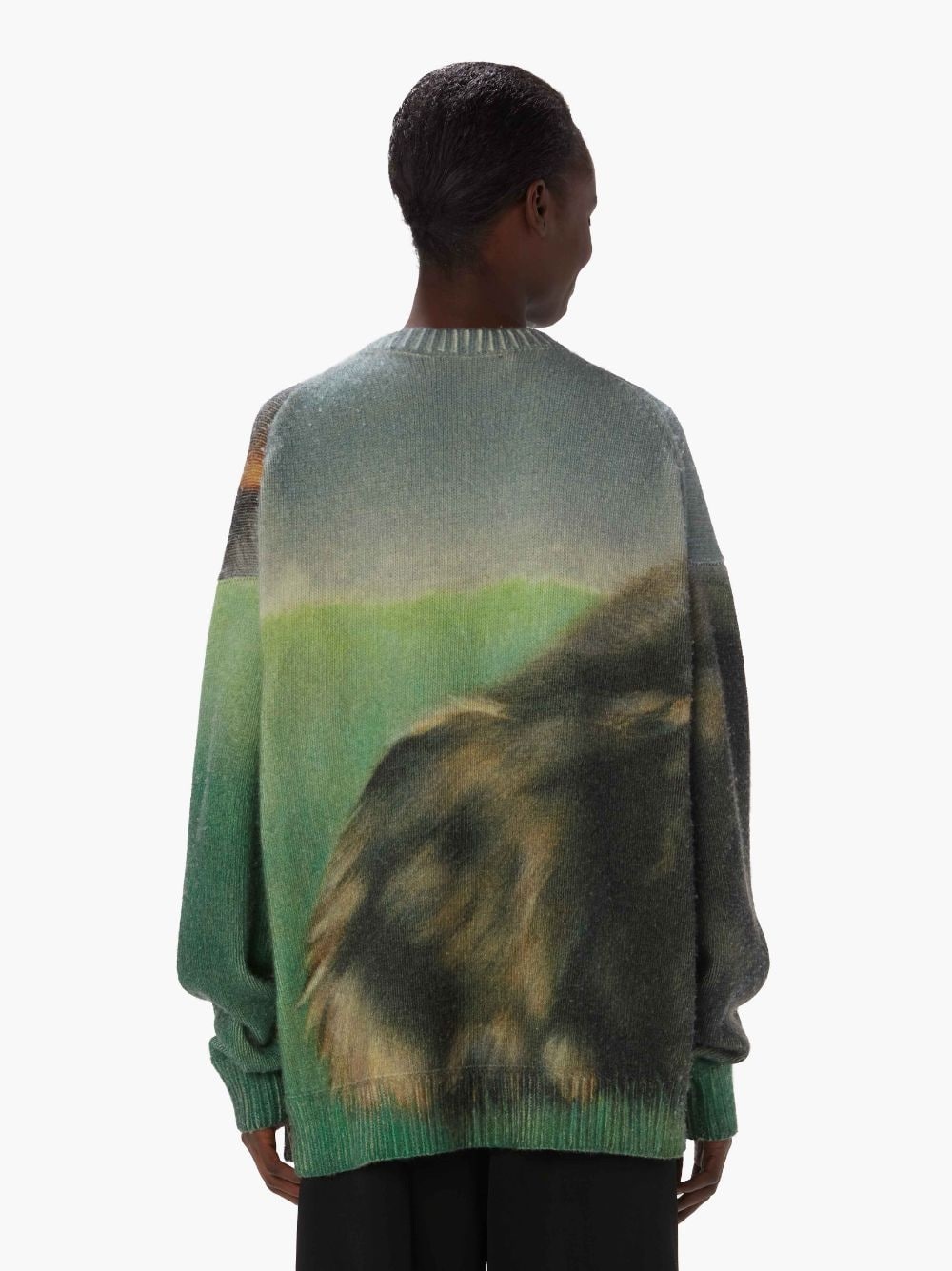PRINTED SWEATER - 3