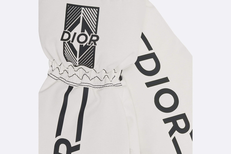 Dior Ski Mittens outlook