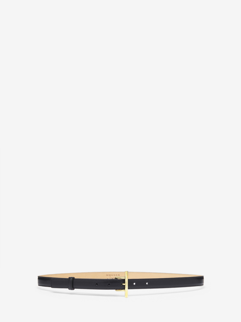 T-Bar Hip Belt 1