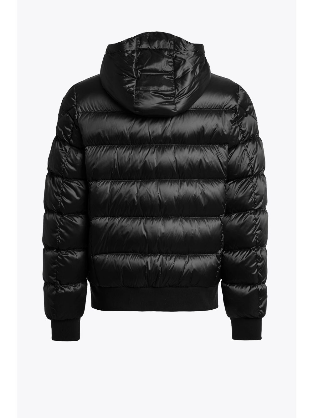 Pharrel jacket - 3