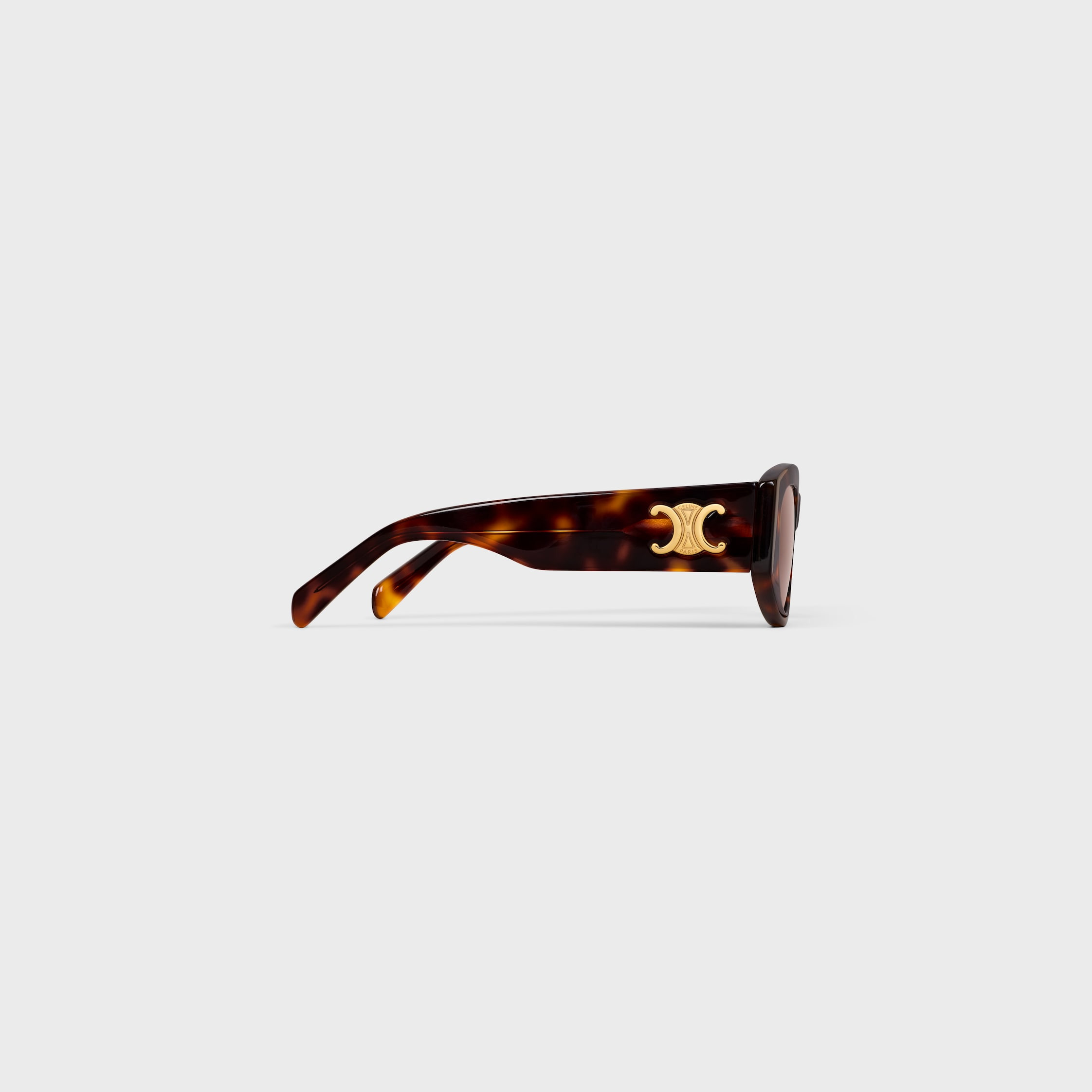 Triomphe 15 Sunglasses in Acetate - 4