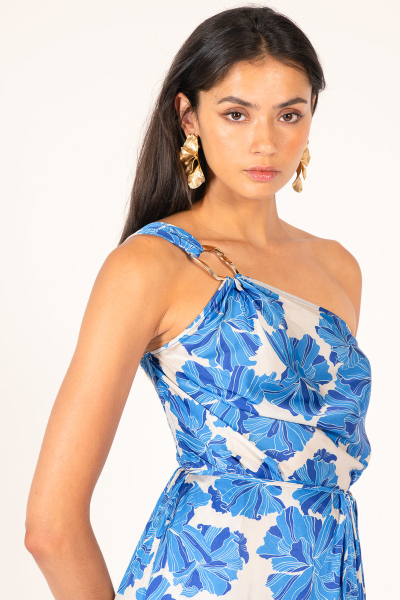 Long Dress Fanny - Blue Flower Bunch 4