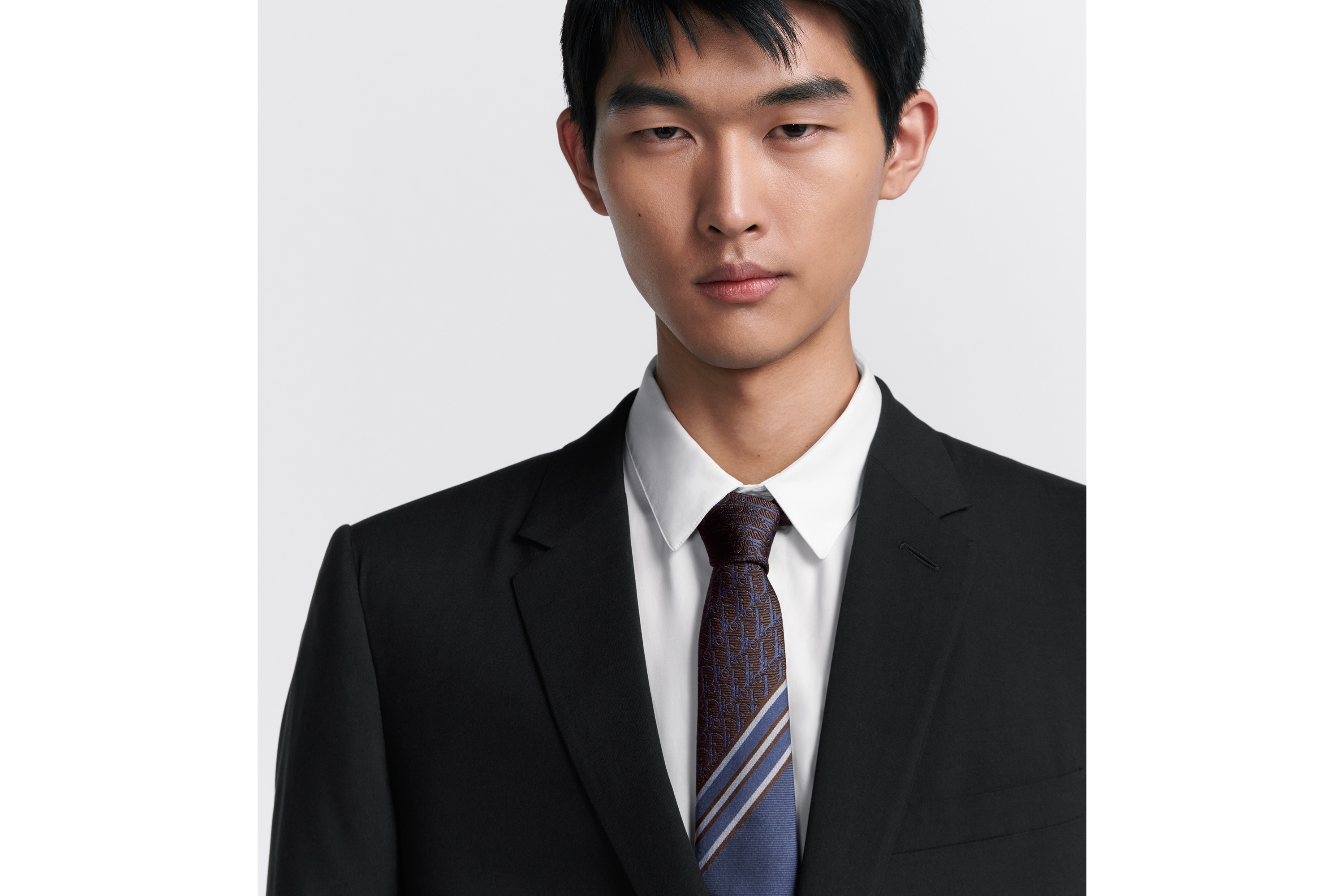 Striped Dior Oblique Tie - 3