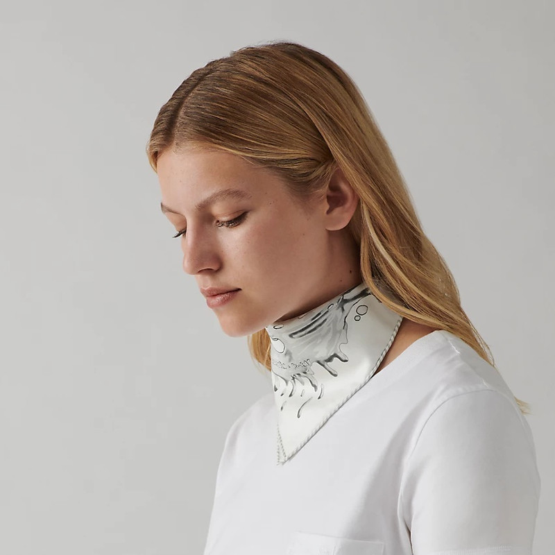 Hermès Peinture Fraiche scarf 45 outlook