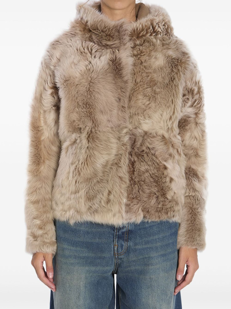 fur jacket 1