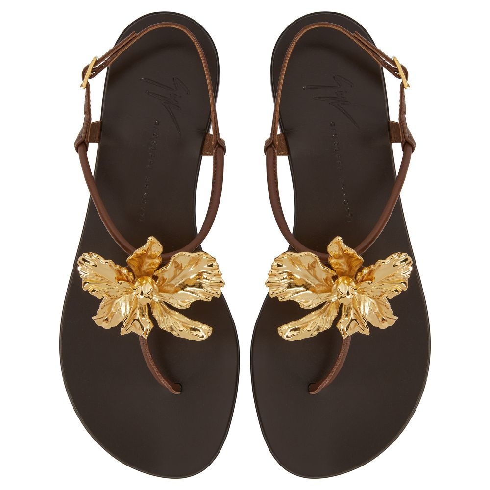 Orchid Flat - 4
