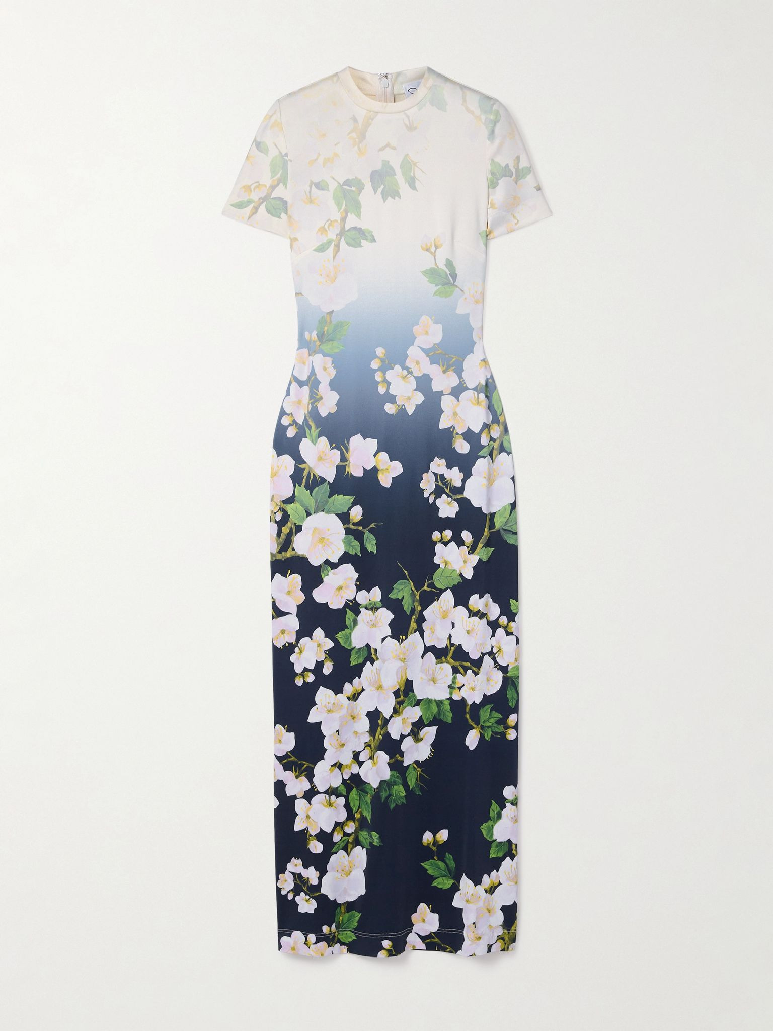 Floral-print ombré jersey maxi dress Blue - 1